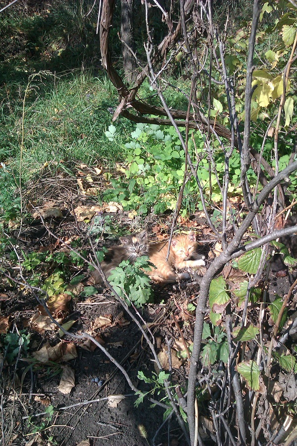 IMAG0097  1.jpg