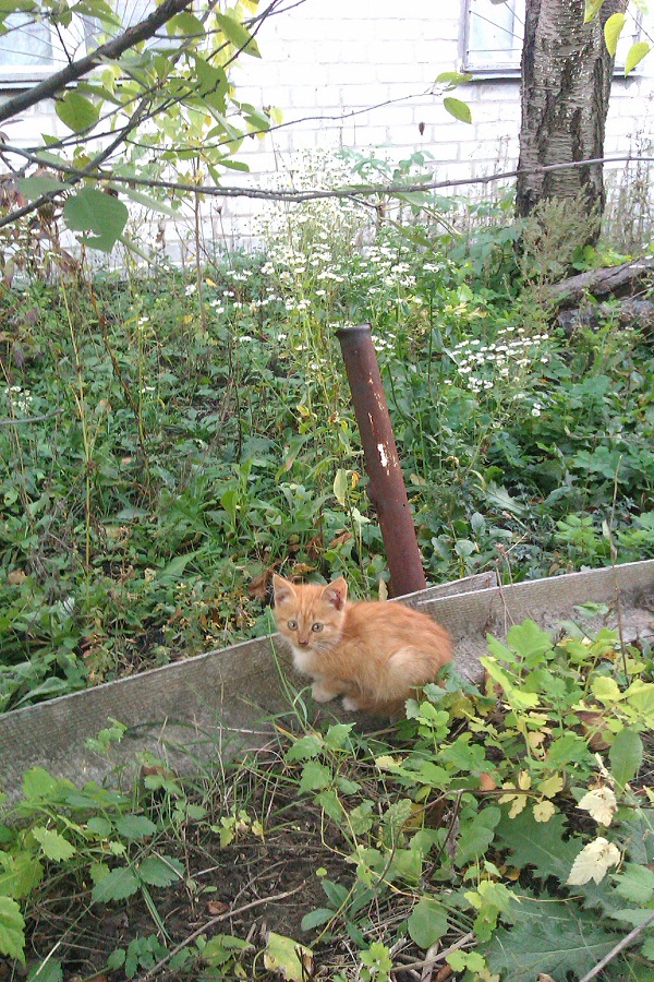 IMAG0109 1.jpg