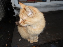 DSCN2361.JPG