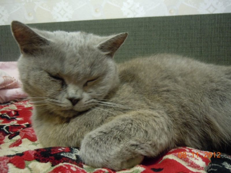 DSCN3553.JPG