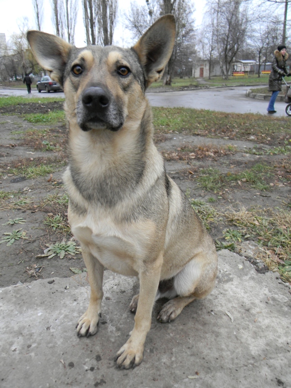 DSCN4458.JPG