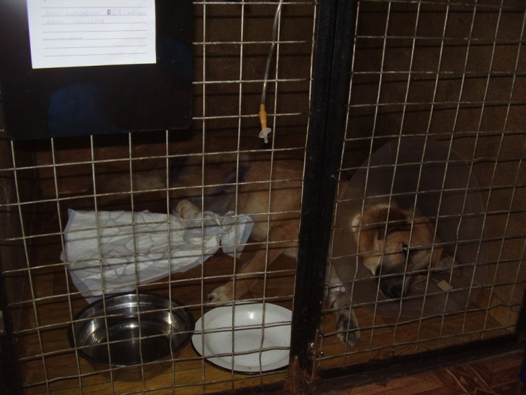 P1010032.JPG