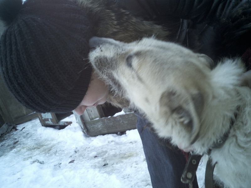 IMG_20121218_150717.jpg