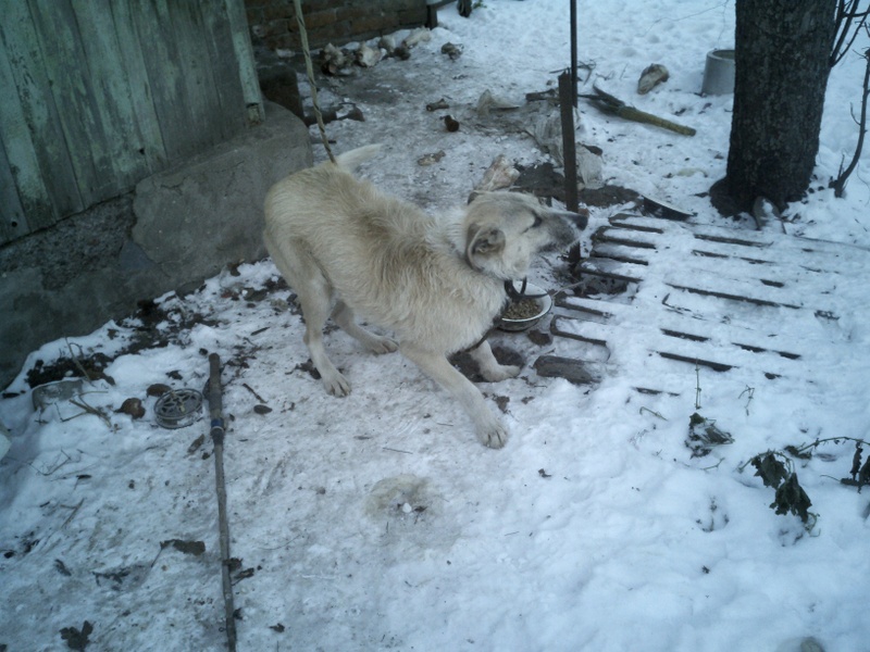 IMG_20121218_151030.jpg