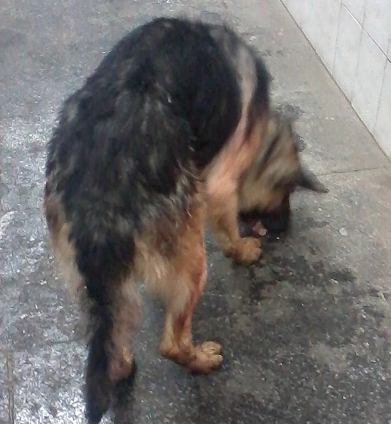 20121224_161513.jpg
