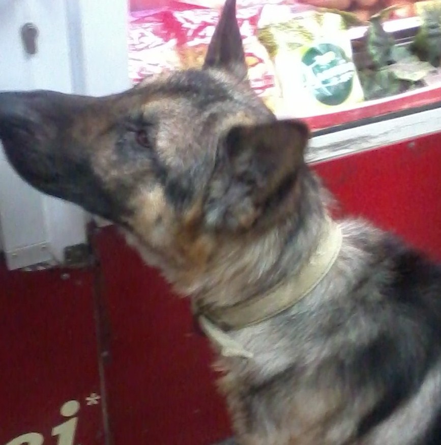 20121224_161526.jpg