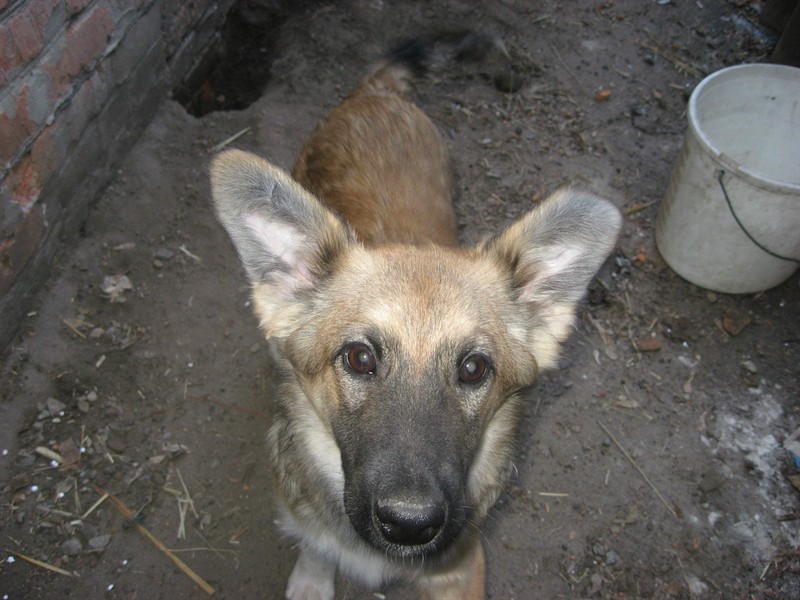 download (1)_800x600.jpg