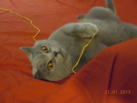 DSCN3909.JPG