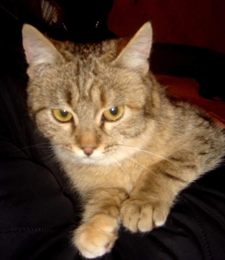 DSC04143 - копия.JPG