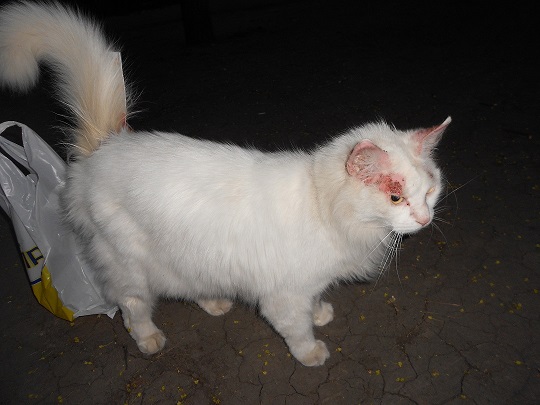 DSCN3248.JPG