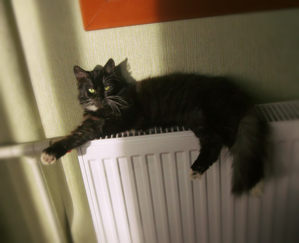 9_A_LTKlCAA.jpg