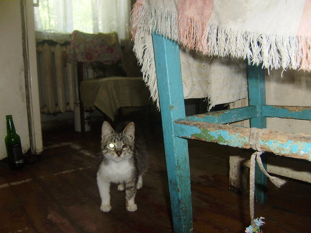 маркиза2.JPG