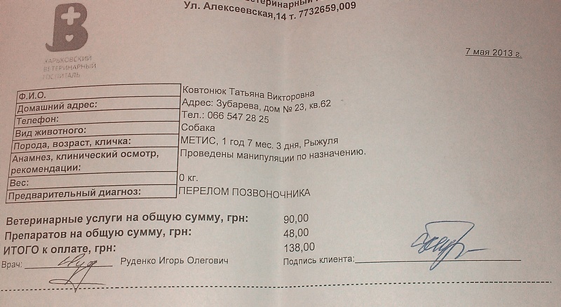 IMAG0049.jpg