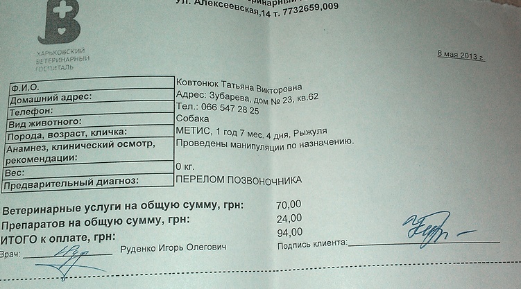IMAG0050.jpg