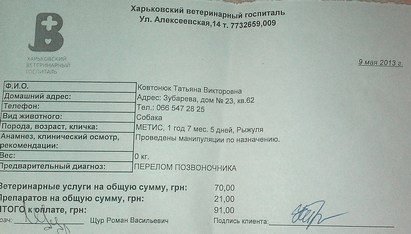 IMAG0051.jpg