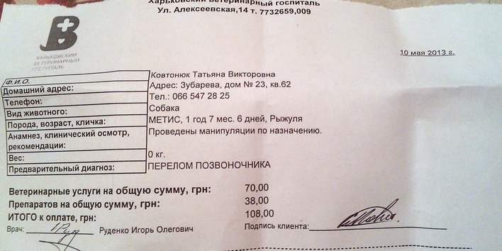 IMAG0055.jpg