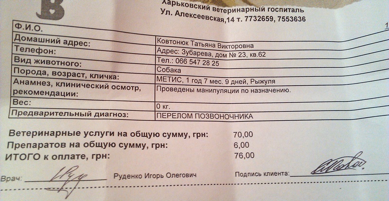 IMAG0057.jpg
