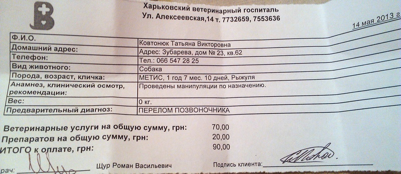 IMAG0062.jpg