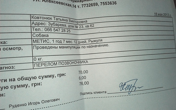 IMAG0051.jpg
