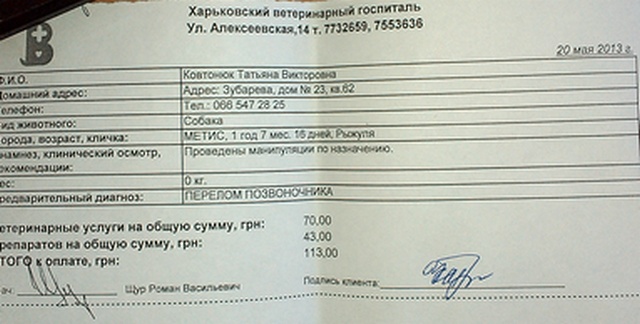IMAG0062.jpg