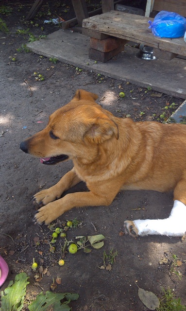 IMAG0063.jpg