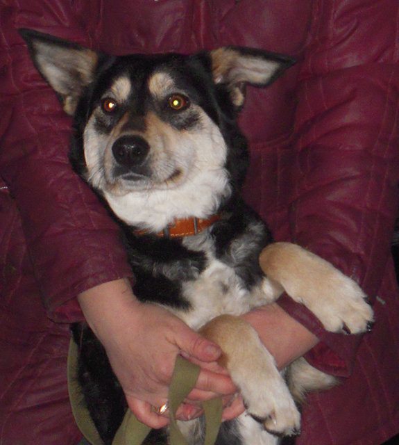 DSCN4505.JPG