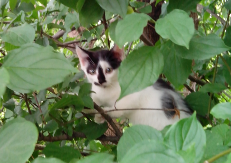 IMG_20130702_103229.jpg