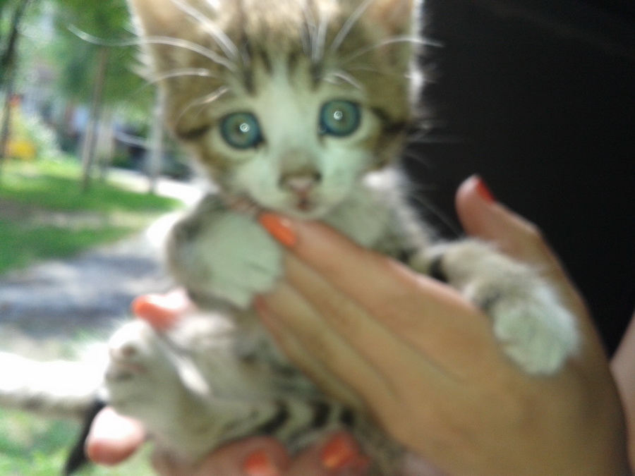 20130730_131300.jpg