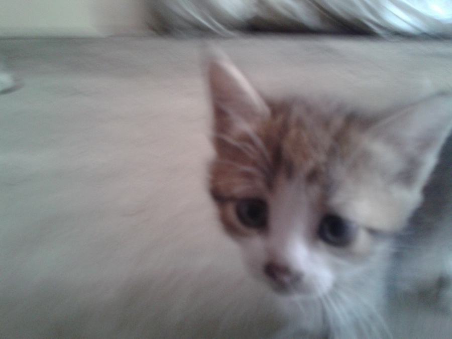 20130730_131644.jpg