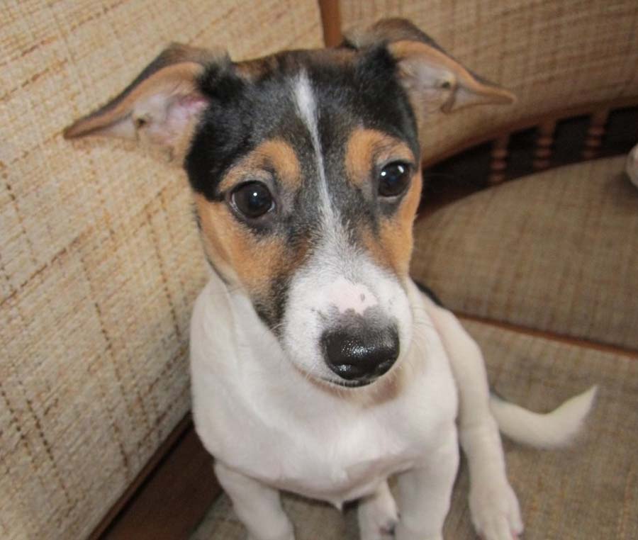 Безымянный 11.jpg