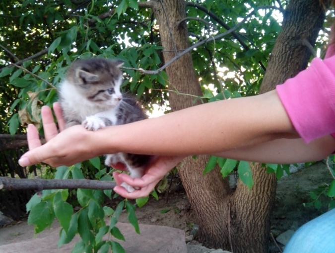 IMG_20130819_081007.jpg