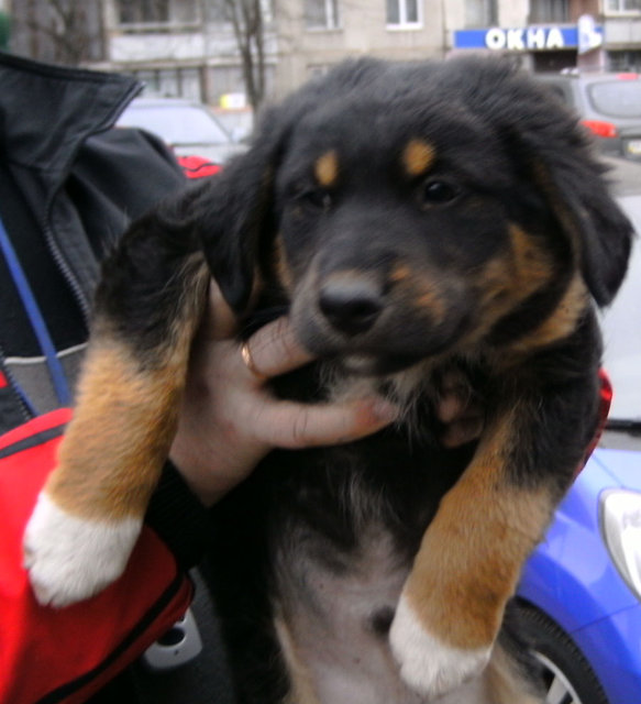 PICT0261.jpg