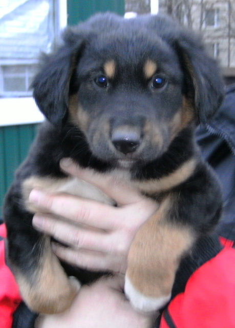 PICT0262.jpg