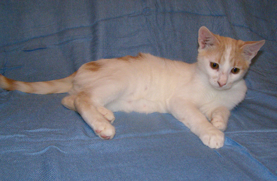 P1010740.jpg