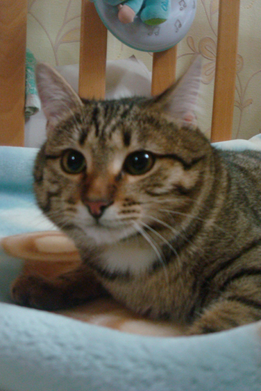 DSC05813.jpg
