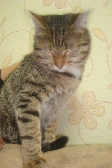DSC05832.jpg