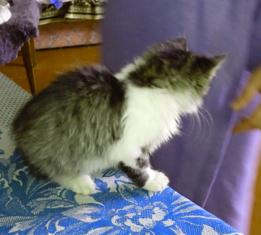IMG_20131020_131744.jpg