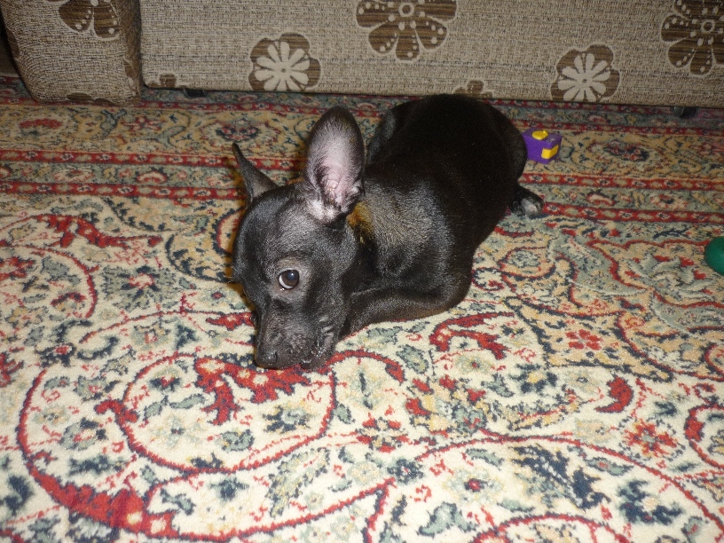 P1080071-2.JPG