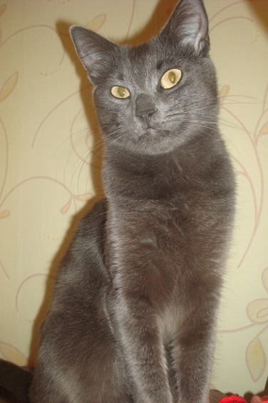 DSC04448.jpg