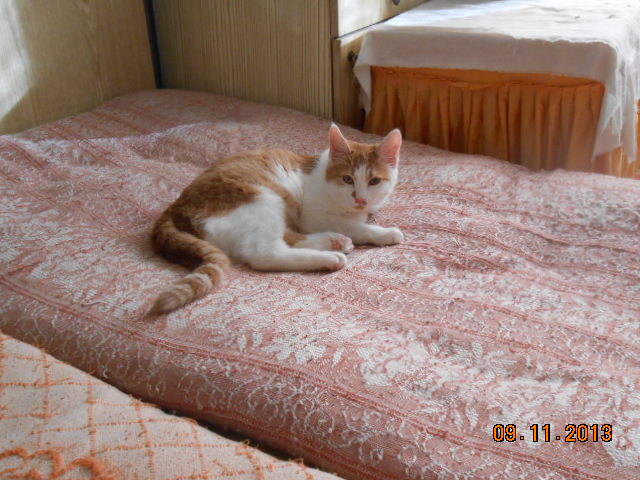 DSCN0371.jpg