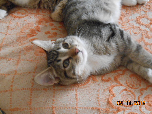 DSCN0382.jpg
