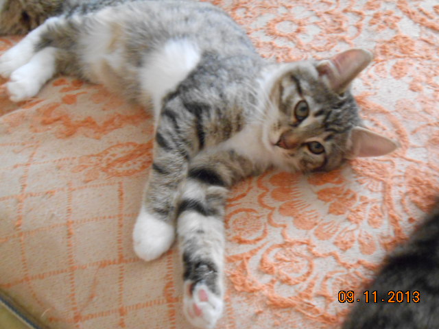 DSCN0385.jpg