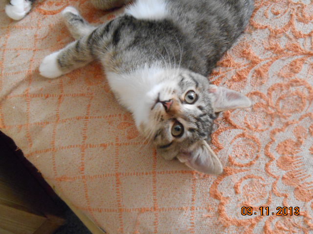 DSCN0388.jpg