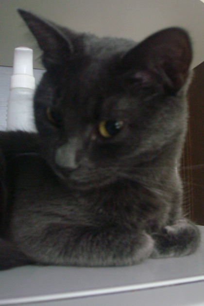 DSC05863.jpg