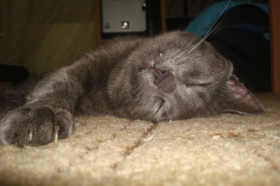 DSC05894.jpg