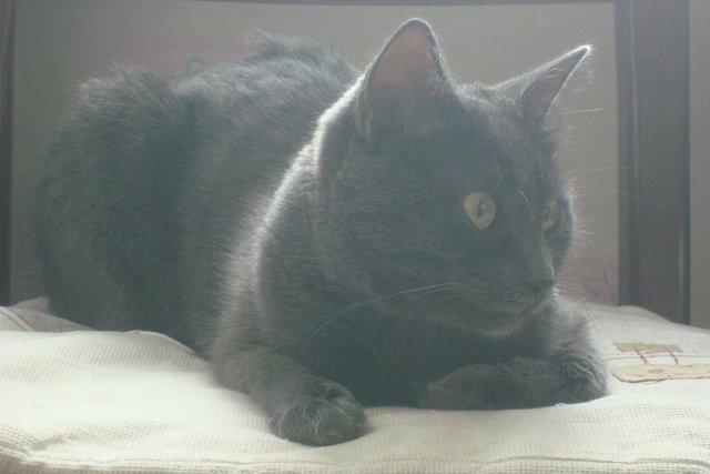 DSC06105.jpg