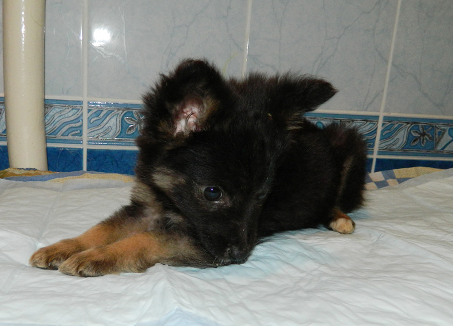 DSCN1046.jpg