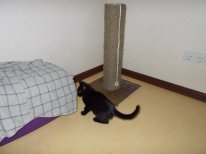 DSCN0110.JPG