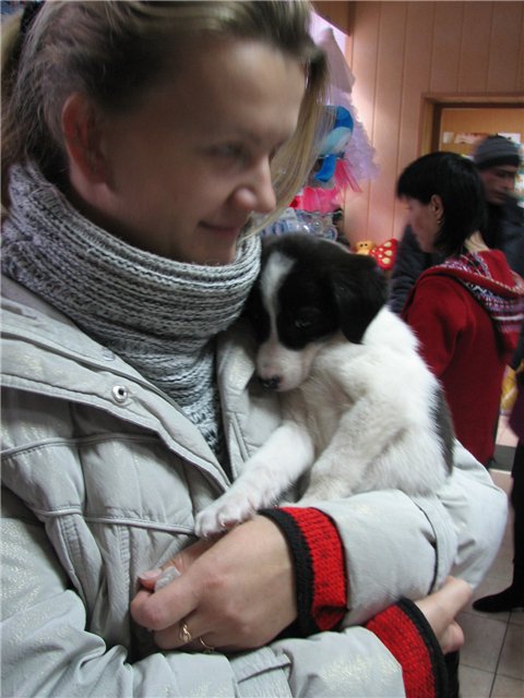 белек чугуев.jpg