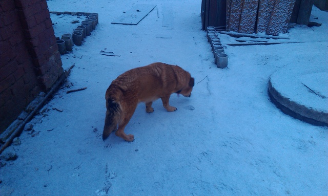 IMAG0279.jpg